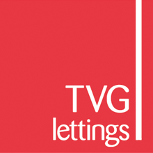 TVG Group Logo